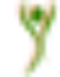 Picture for Fresh Start package